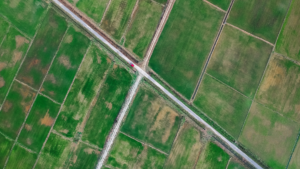 Benefits of Investing in Commercial Plots